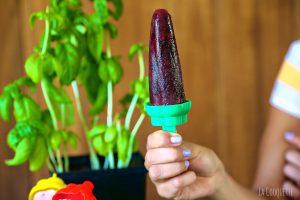 Herb Infused Popsicle