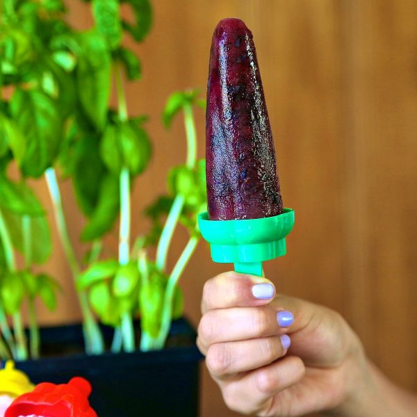 Herb Infused Popsicle